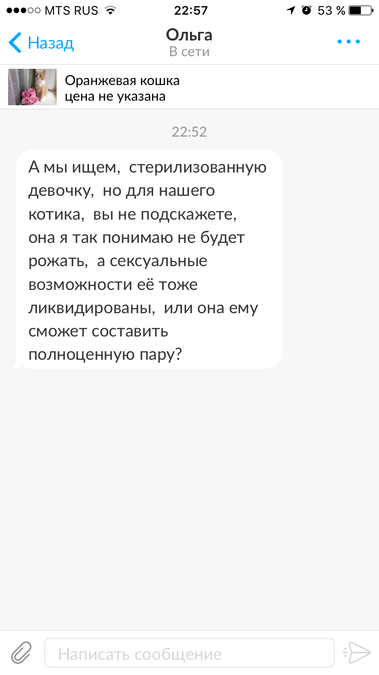 Человеческого идиотизма пост - Моё, Моё, Скриншот, Кот