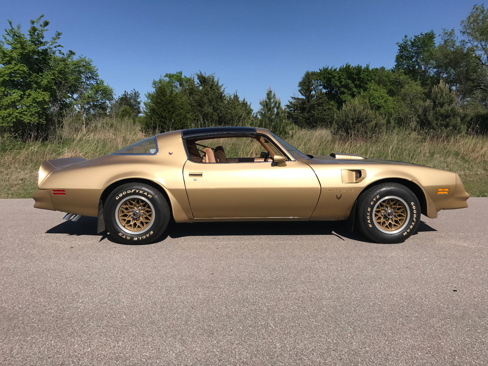 1978 Pontiac Firebird Trans Am | Пикабу