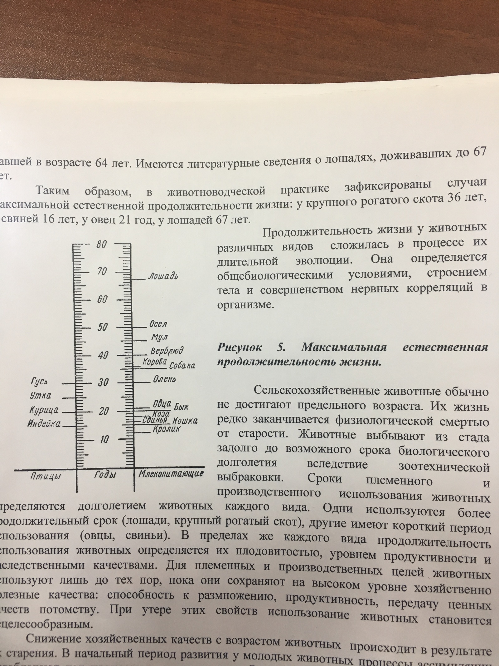 Животные долгожители. | Пикабу