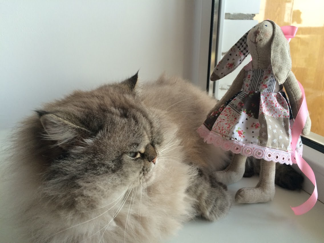 cat and rabbit - My, cat, Hare-Tilda, Needlework without process, Hare, Methodius Valerievich