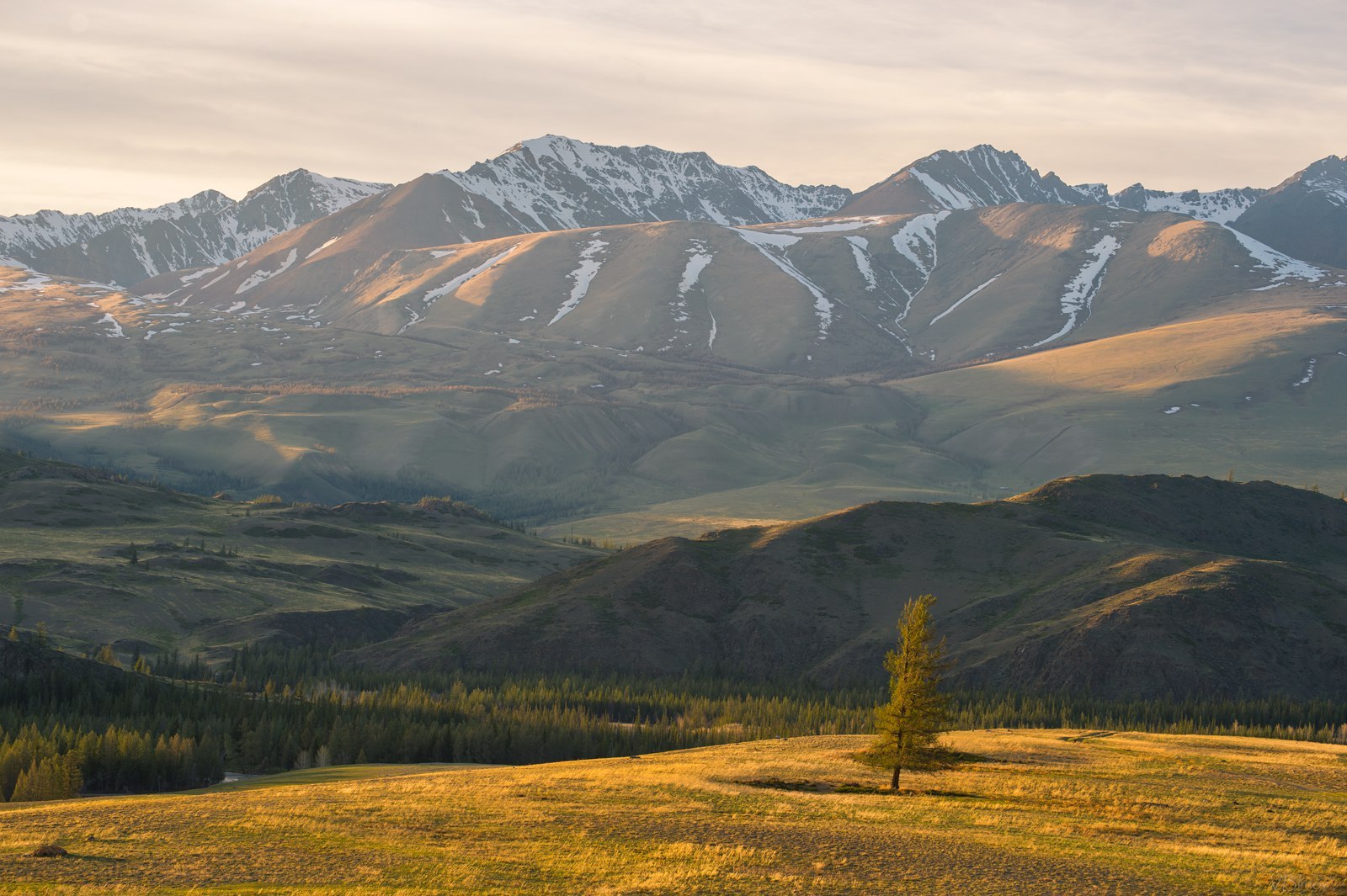 Mountain Altai - Mountain Altai, Nature, beauty, Travel across Russia, Longpost, Altai Republic