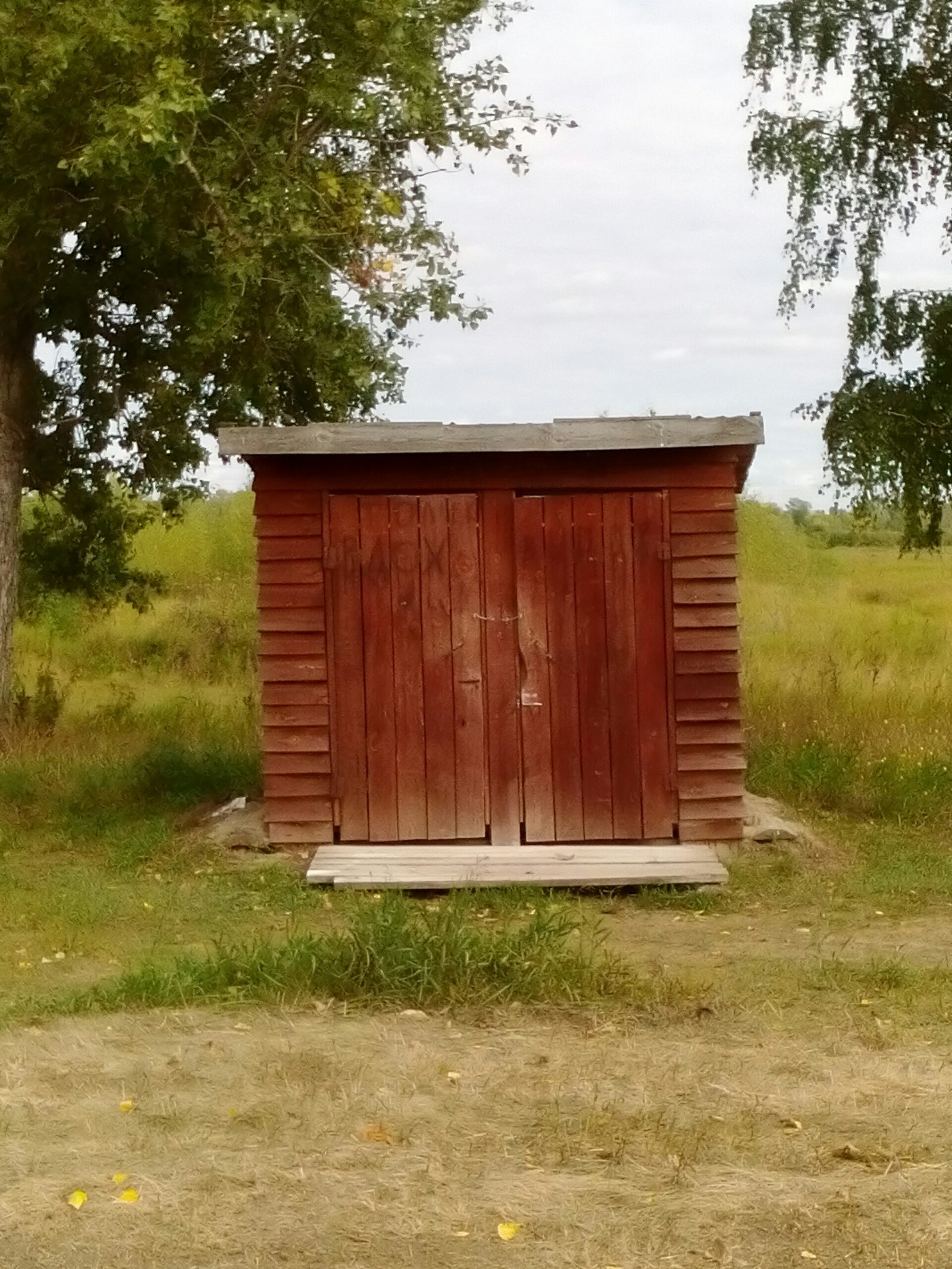 Toilet Zen - My, Toilet, Creative