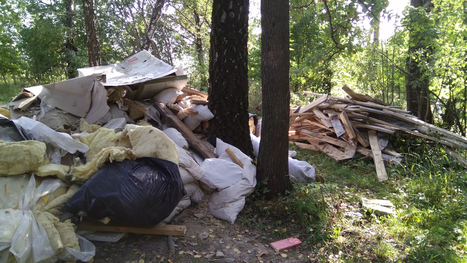 Разруха в головах - Моё, Свалка, Вывоз мусора, Свинство, Длиннопост