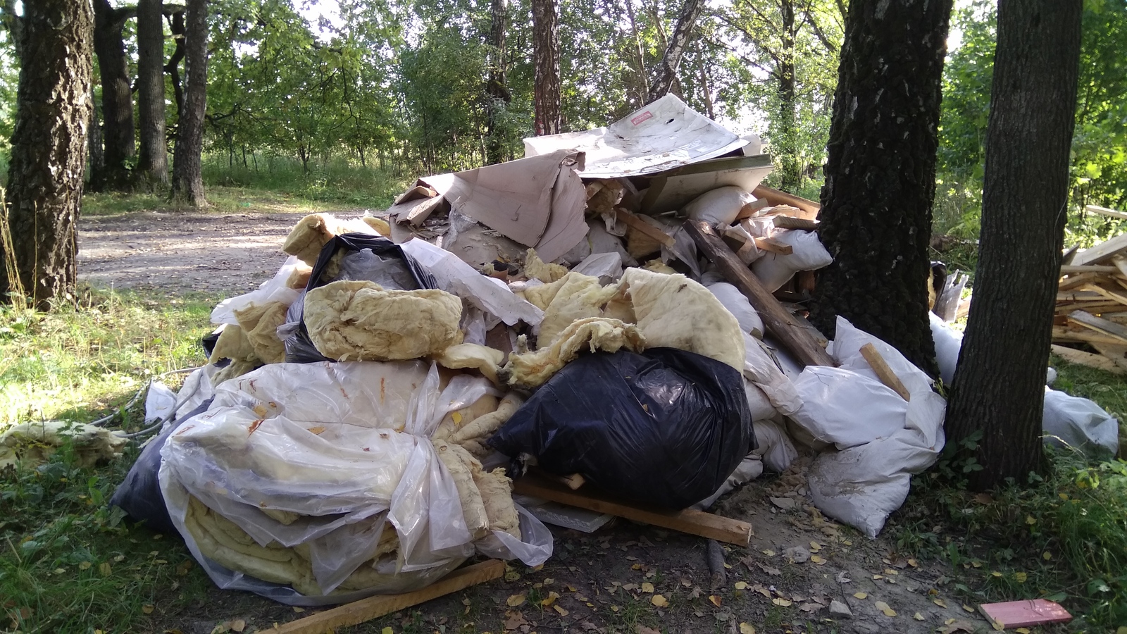 Разруха в головах - Моё, Свалка, Вывоз мусора, Свинство, Длиннопост