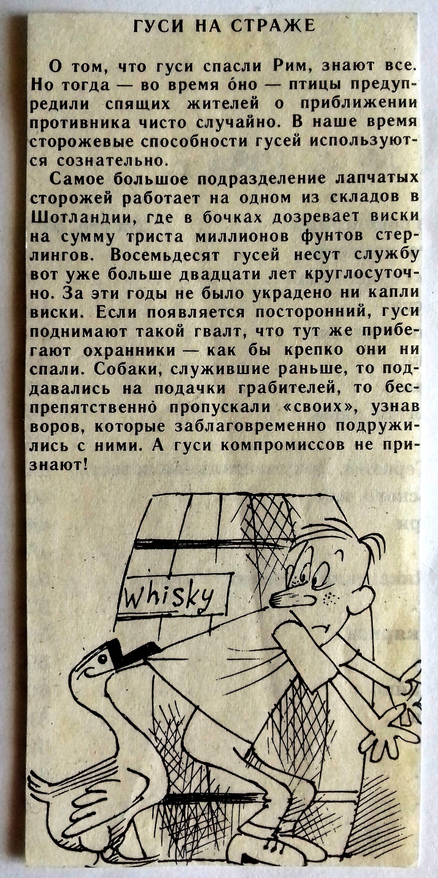 Гуси на страже. - Моё, Листая пожелтевшие страницы, Вырезки из журналов, Гуси на страже, Воскресение, Вырезки из газет и журналов