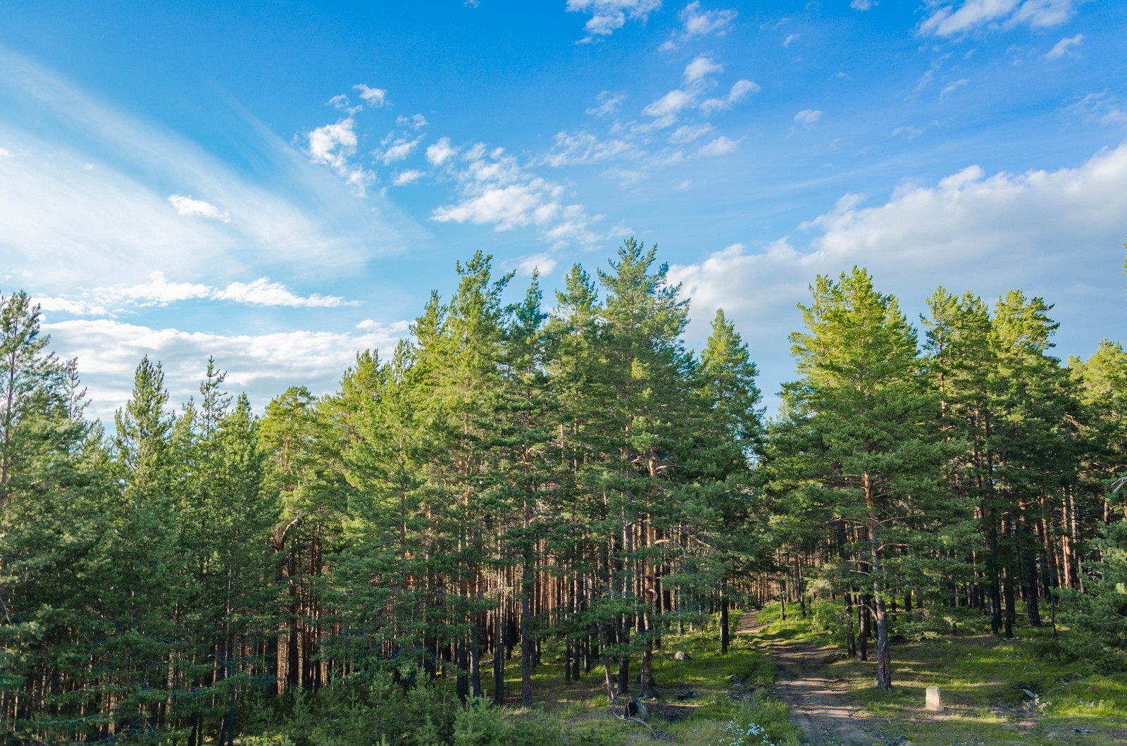 Landscapes of the Middle Urals part 2 - My, Russia, Nature, Landscape, Ural, Longpost