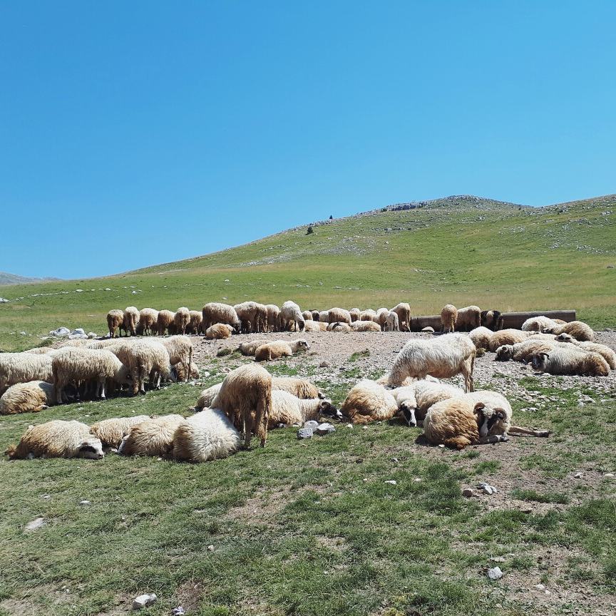 Bosnia and Herzegovina - My, Bosnia and Herzegovina, Travels, Balkans, Longpost