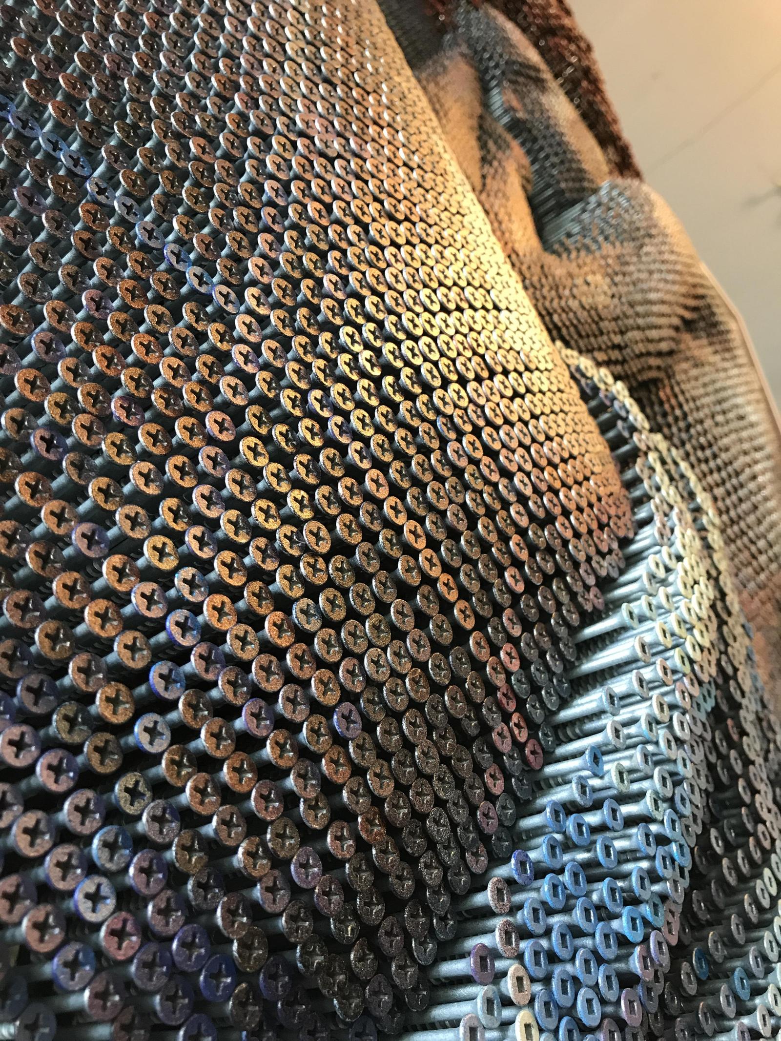 Over 20,000 screws. - Screw, Painting, Color, Trypophobia, Figure, Girls, Art, Longpost