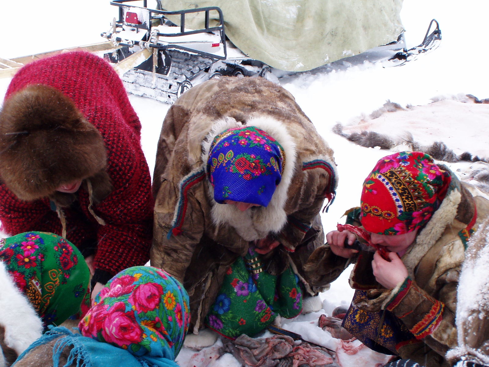 Wedding in the tundra - 4 - My, Wedding, Tundra, Yamal, Longpost