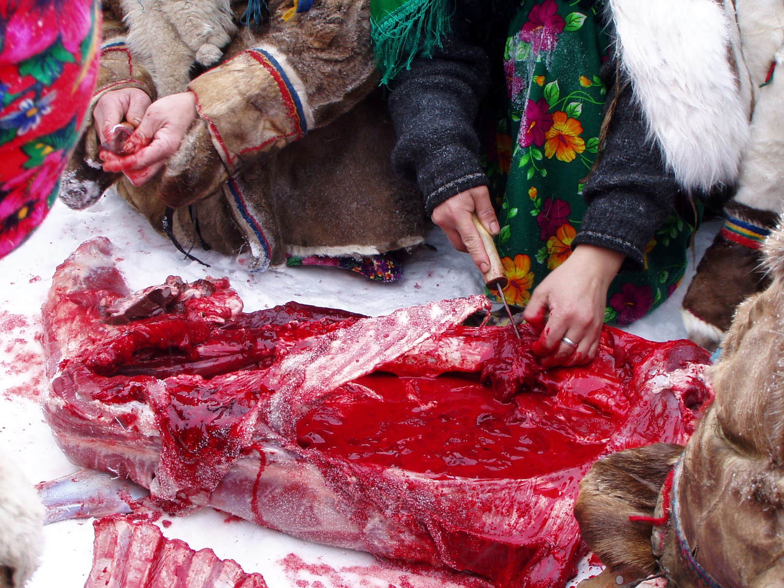 Wedding in the tundra - 4 - My, Wedding, Tundra, Yamal, Longpost