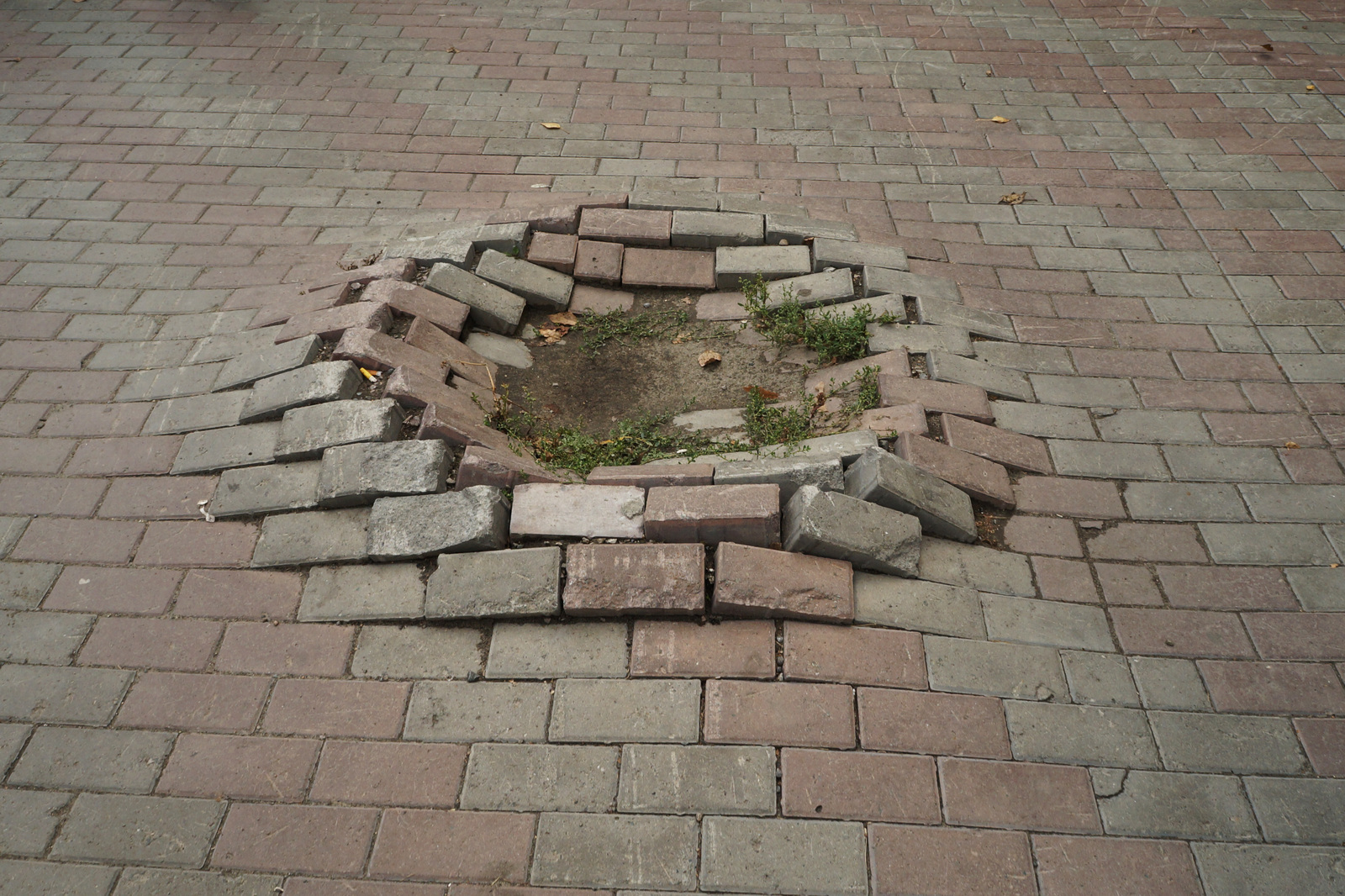 Nascent volcano on the streets of Barnaul - My, Barnaul, Sidewalk, Tile, Beautification