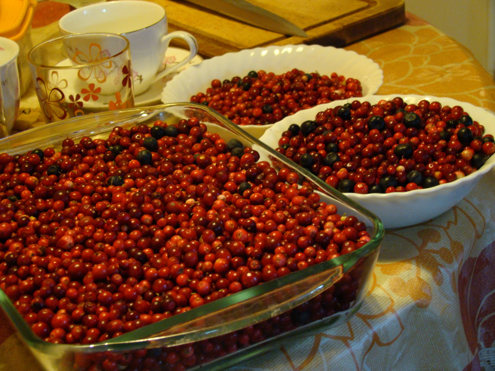 Autumn harvest - My, Cowberry, Harvest, Berries, Autumn, Yummy, cat, Longpost