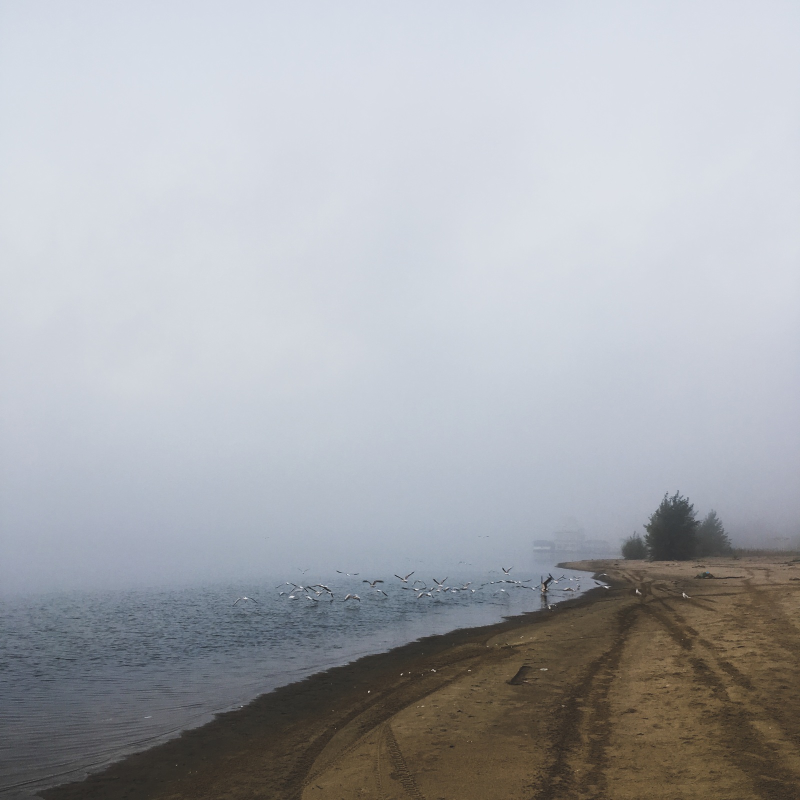 Fog. - My, Kazan, Fog, Mobile photography, Morning, Longpost