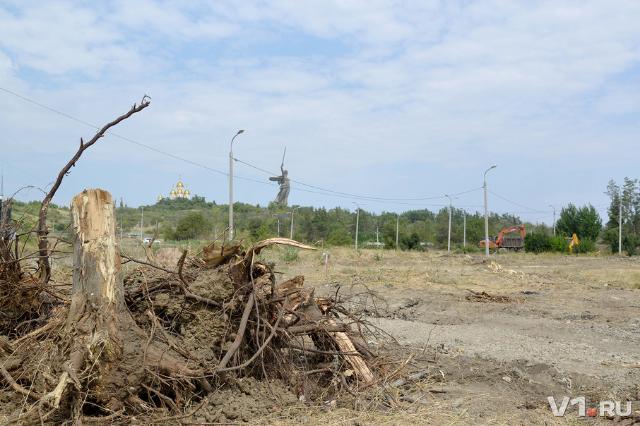 One of the reasons why I left Volgograd... - My, Volgograd, , Mamaev kurgan, Felling, , Longpost