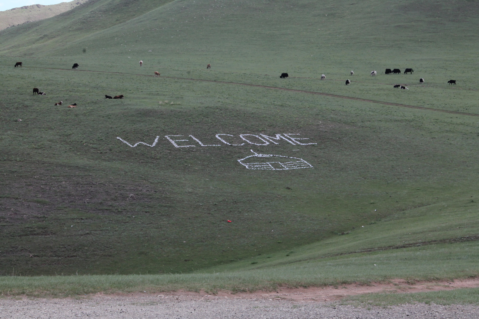 Memories of Mongolia - My, Mongolia, Vacation, Yurt, , Longpost, Steppe