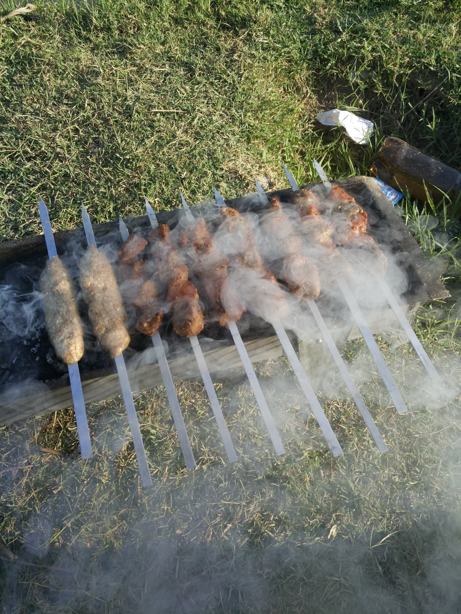 Greetings from a Tatar from sunny Tashkent! - My, Recipe, Uzbekistan, My, Pilaf, , Shashlik, Dog, Hunting, Longpost