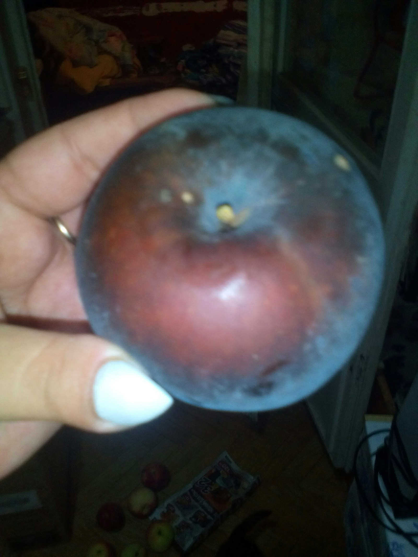 A new variety of BLACK APPLES. IT HAPPENS... - My, Apples, Person, Black, Bad people, Longpost