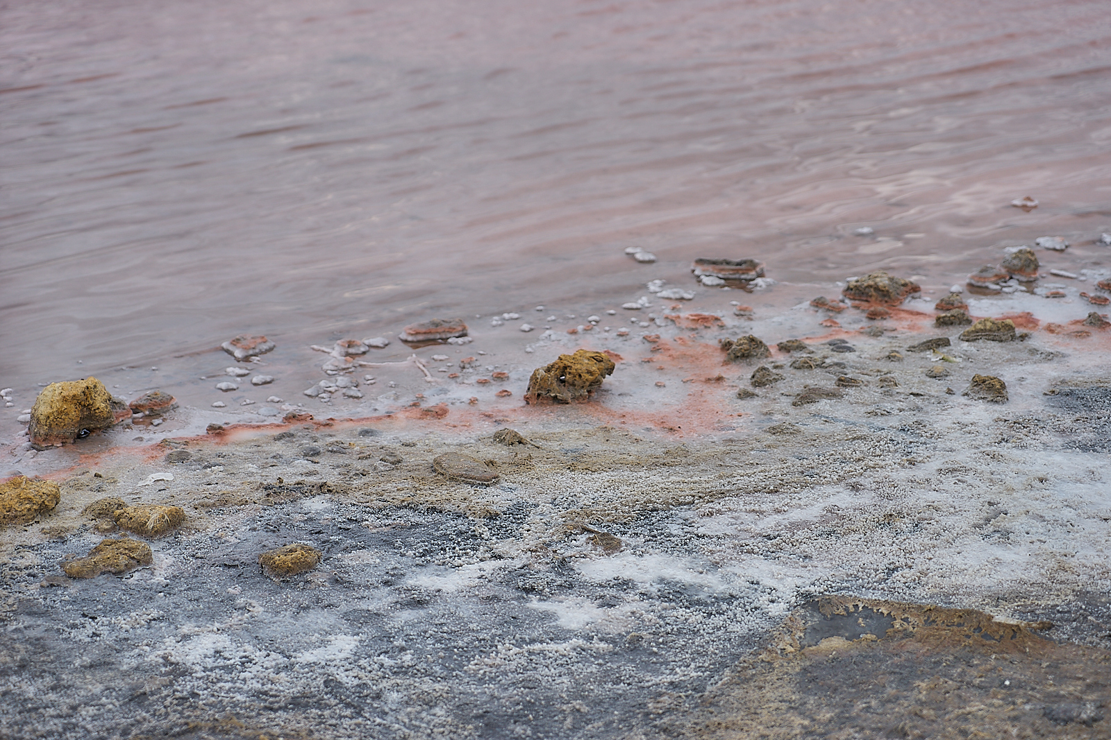 Salt is mined here. Salt lakes near the city of Saki (Crimea). Some species are simply Martian). Shot on Sony A7, 24-70/4 ZA - My, Longpost, Landscape, Sony