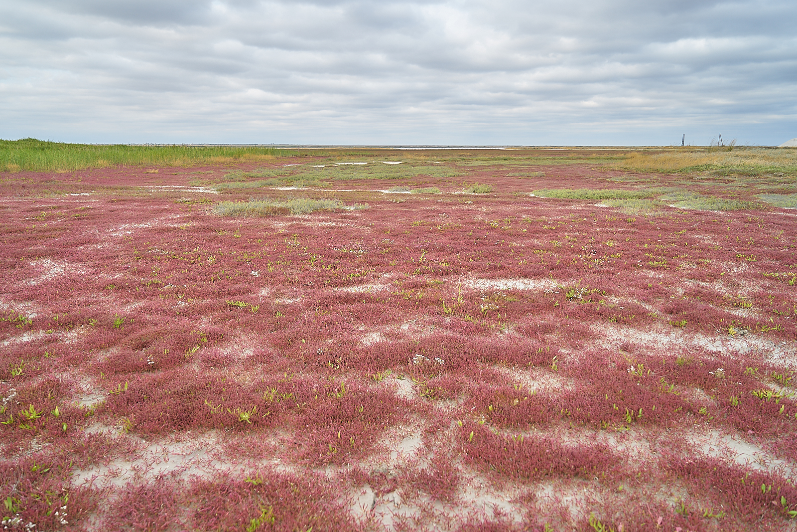 Salt is mined here. Salt lakes near the city of Saki (Crimea). Some species are simply Martian). Shot on Sony A7, 24-70/4 ZA - My, Longpost, Landscape, Sony