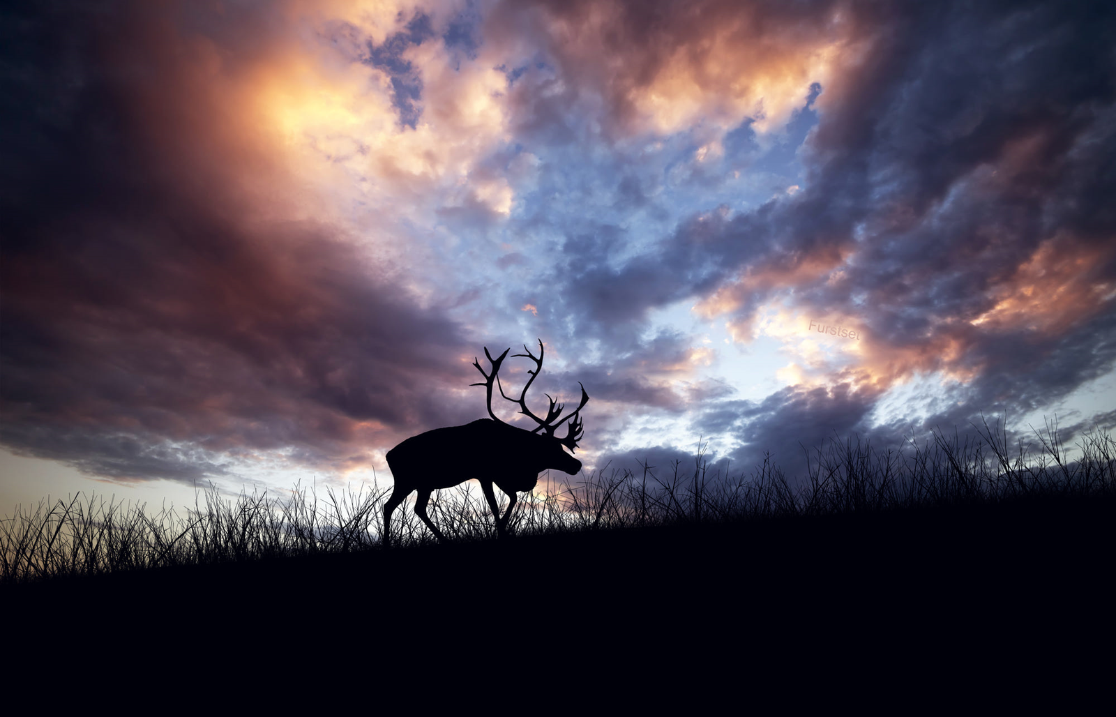 Horns and dawn - Nature, Animals, The photo, The sun, Silhouette, beauty, Longpost