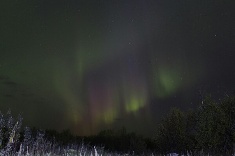 Polar lights in the Omsk region. - Omsk, Russia, Interesting, Polar Lights, Space, Nature, beauty, Longpost