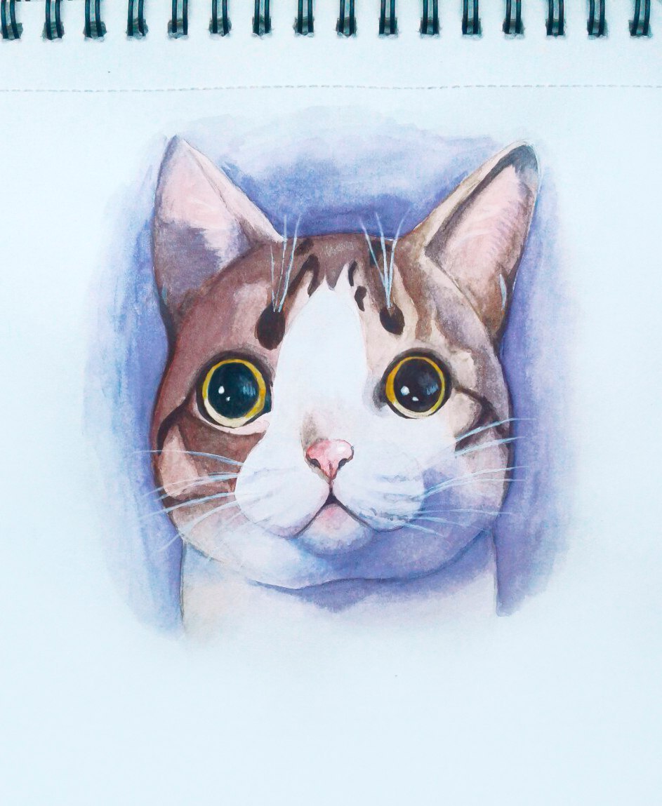 Seals: 3 - My, Art, , cat, Painting, Watercolor, Longpost