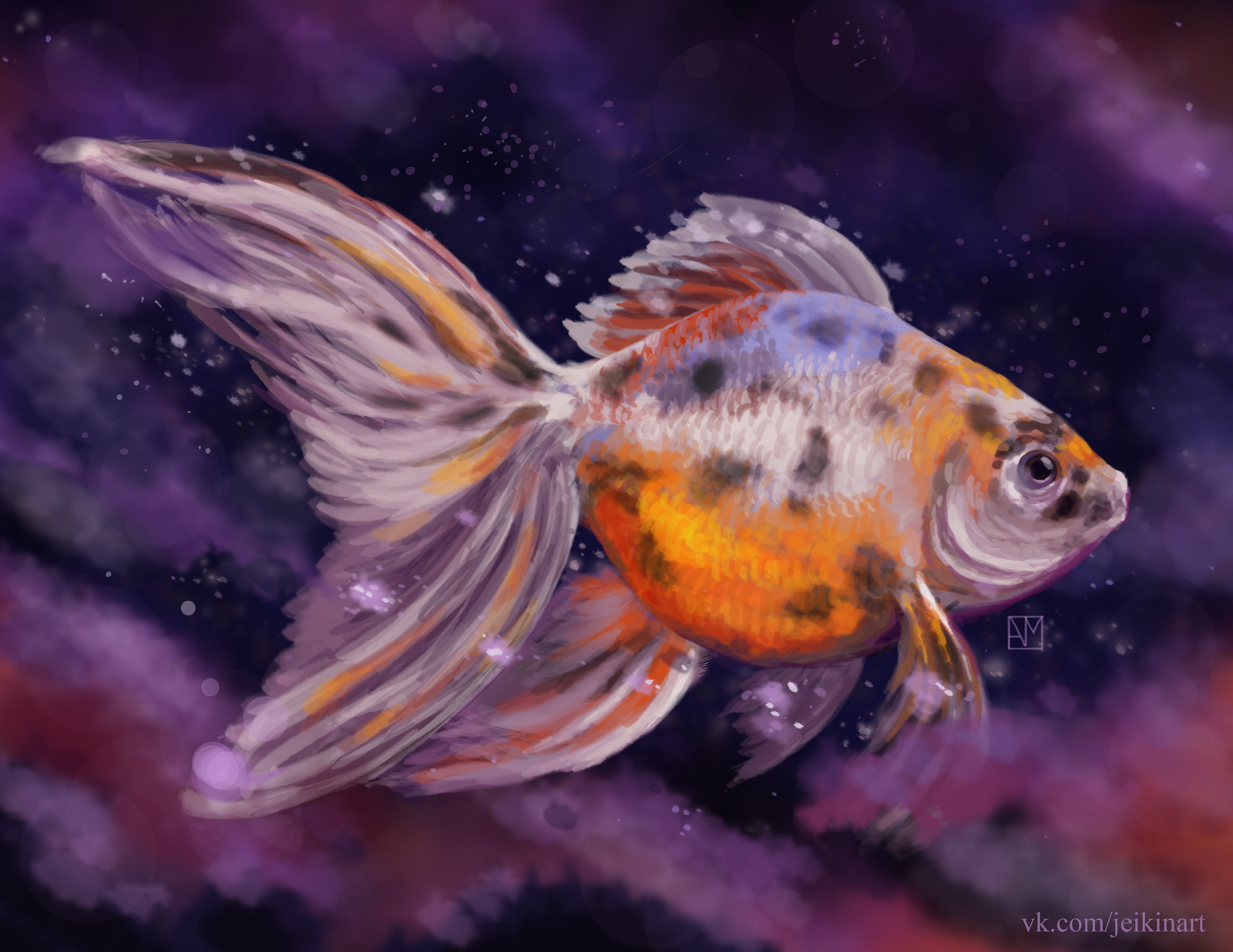 Золотая рыбка Калико