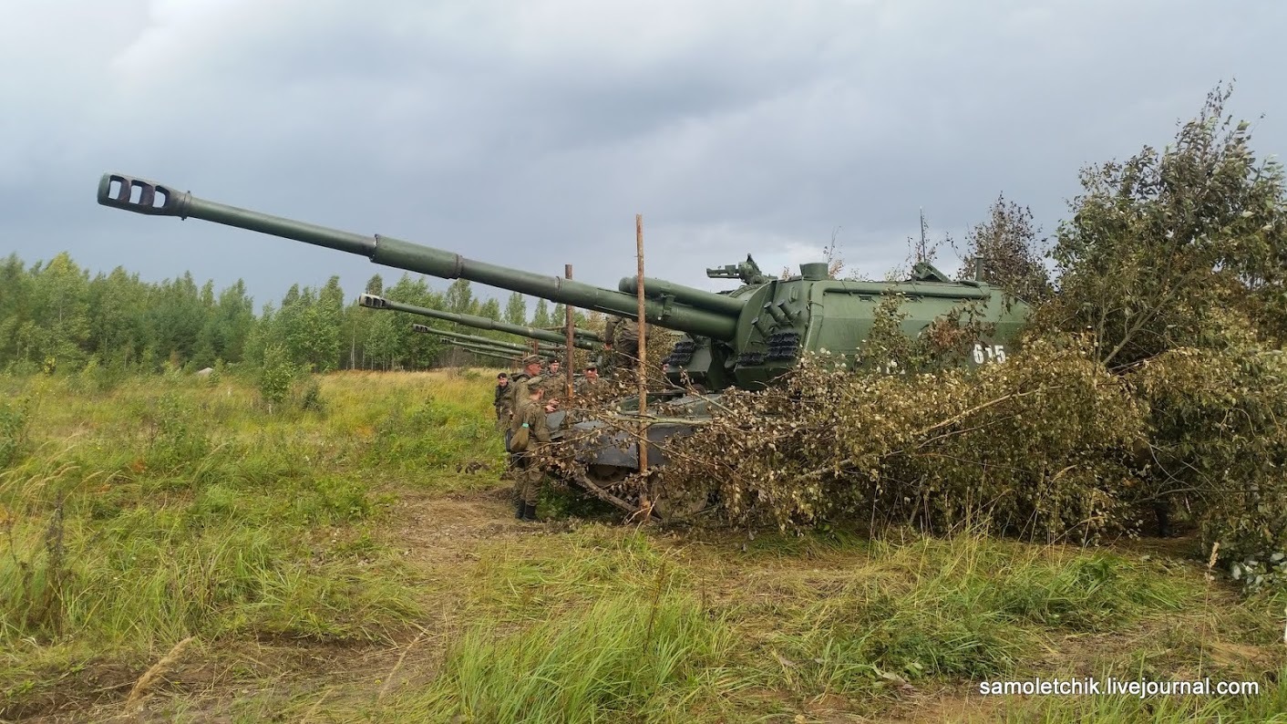 There is a sea of ??mushrooms in the forest near Borisov! - Weapon, West-2017, Forest, Mushrooms, Longpost