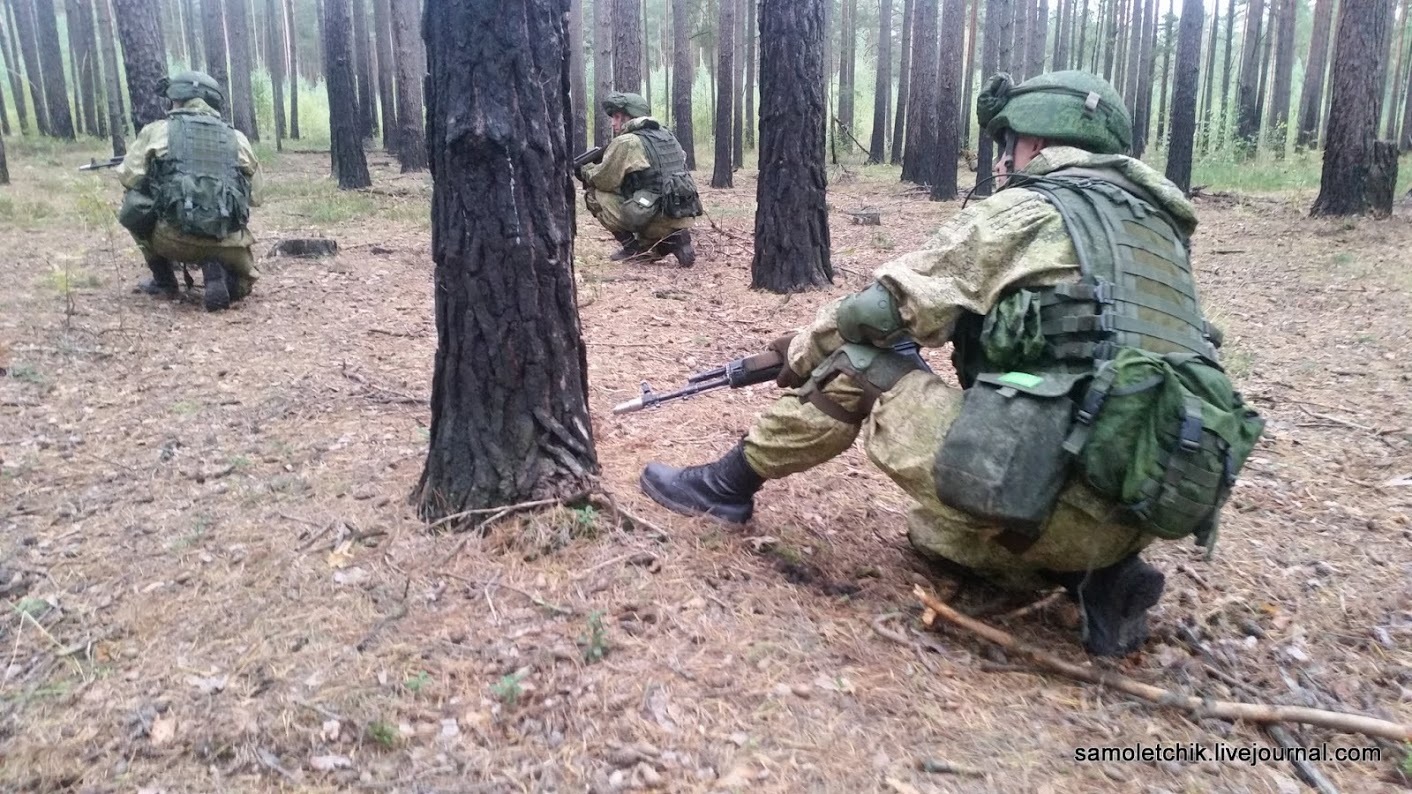 There is a sea of ??mushrooms in the forest near Borisov! - Weapon, West-2017, Forest, Mushrooms, Longpost