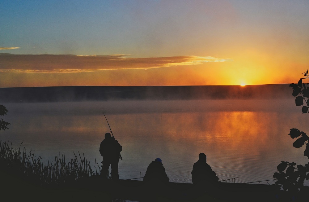 Pink mist. - Fog, dawn, The photo