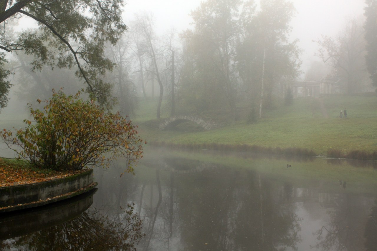 Павловск в тумане