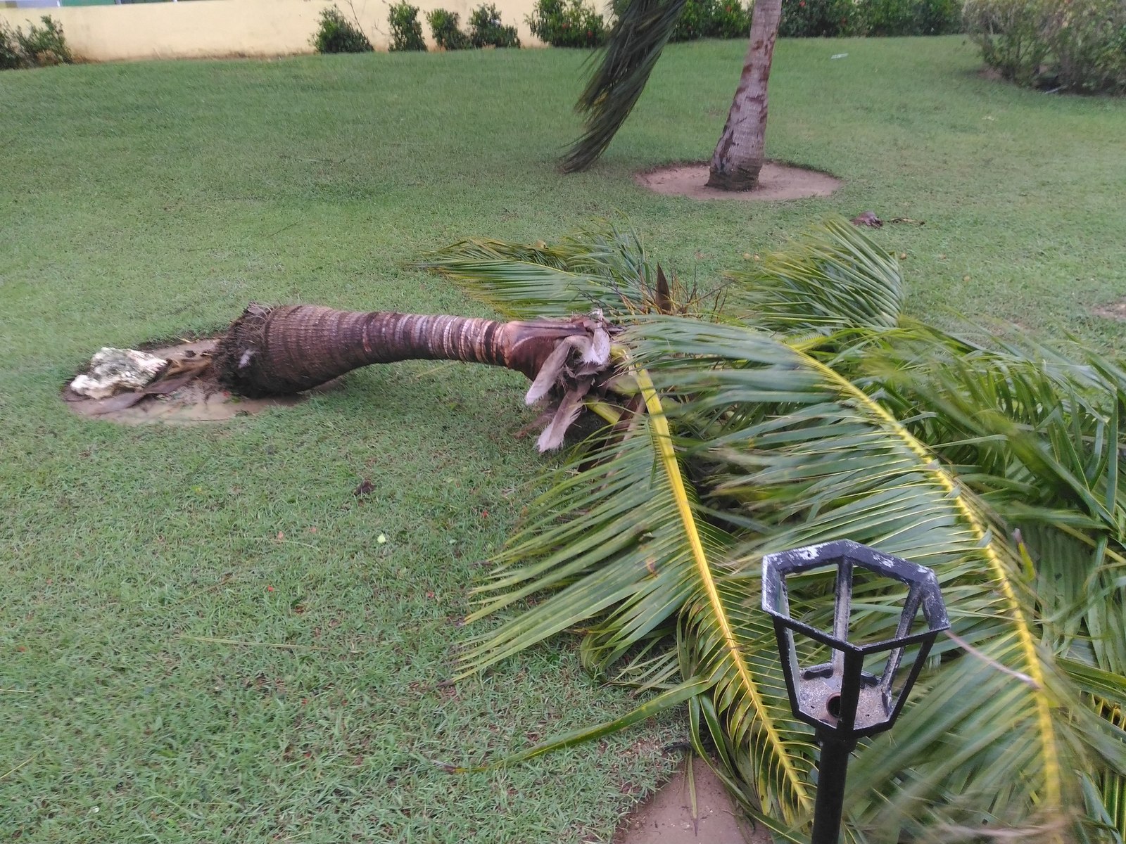 Hurricane Irma in Cuba through the eyes of an eyewitness - My, Hurricane Irma, Cuba, Longpost