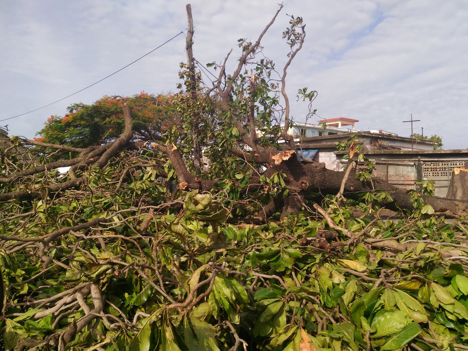 Hurricane Irma in Cuba through the eyes of an eyewitness - My, Hurricane Irma, Cuba, Longpost