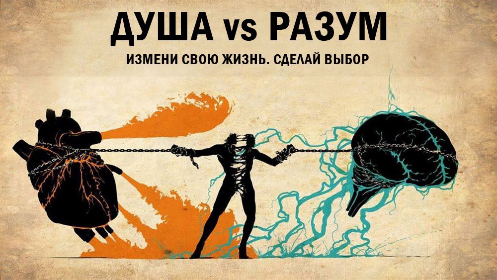 Душа Vs Разум. Два жизненных пути. - Моё, Духовность, Осознанность, Выбор, Новая жизнь, Психология, Счастье, Радость, Любовь, Длиннопост