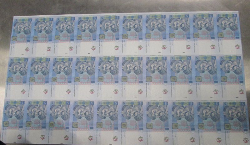 Chinese man detained at Novosibirsk airport with 920 sheets of uncut genuine hryvnia - Hryvnia, Novosibirsk, Currency, Fake, Chinese, The airport, Customs, Copy-paste, Longpost