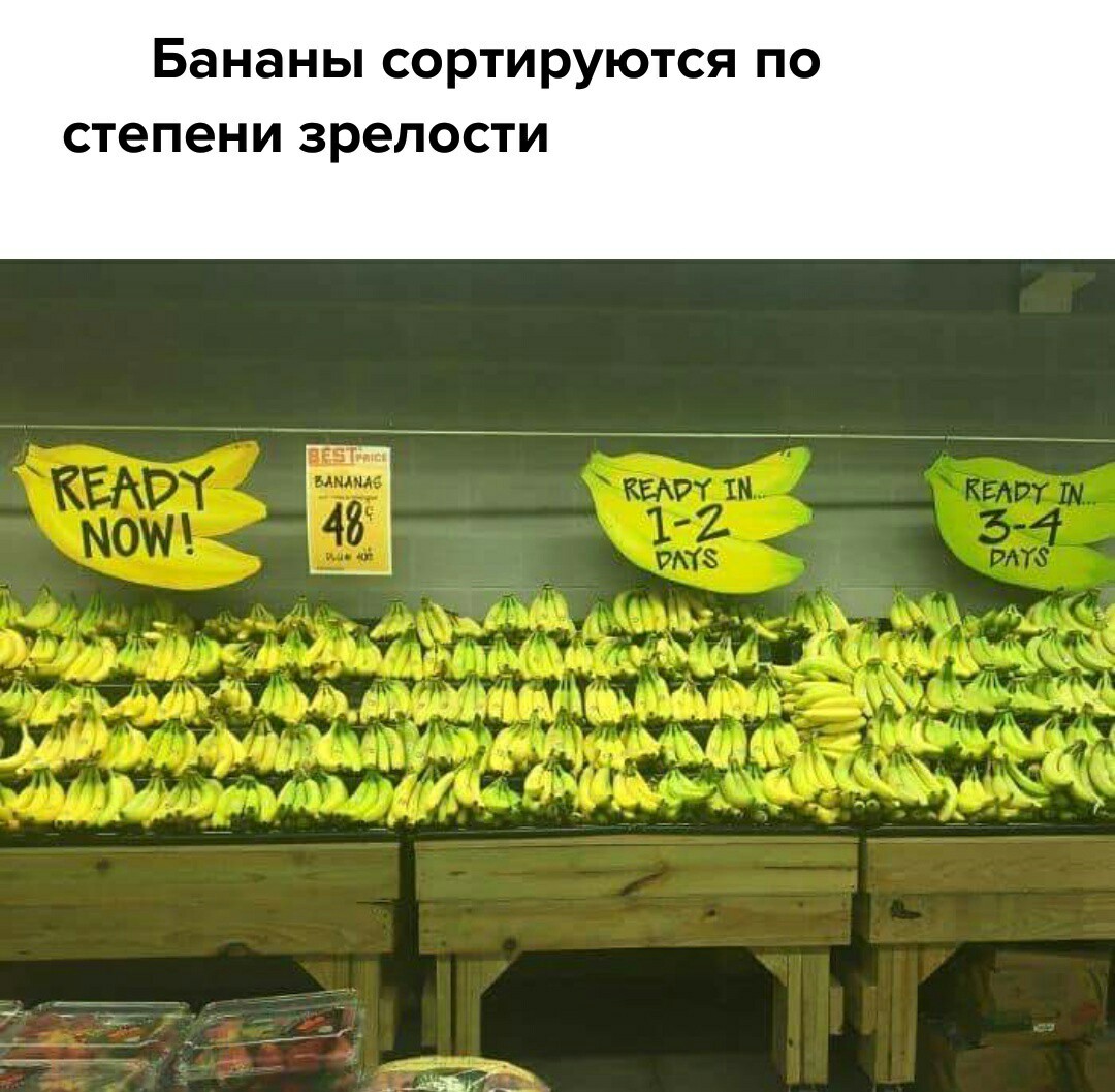1505845607170937337.jpg