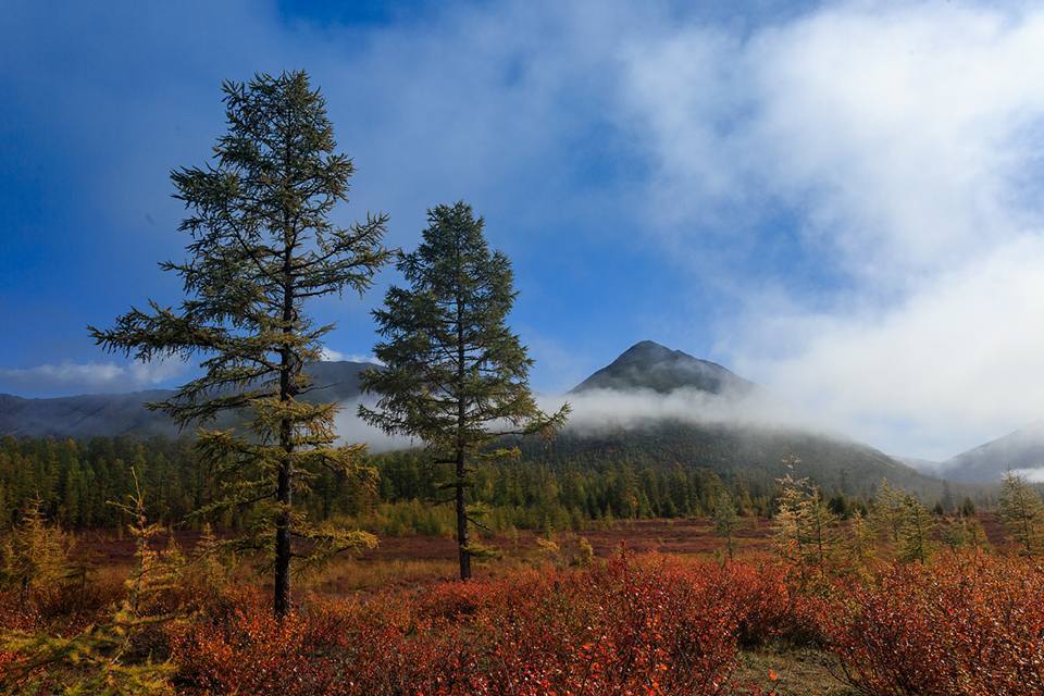 Autumn Yakutia - , Yakutia, September, 2017, The photo, Nature, Landscape, Tourism, Longpost