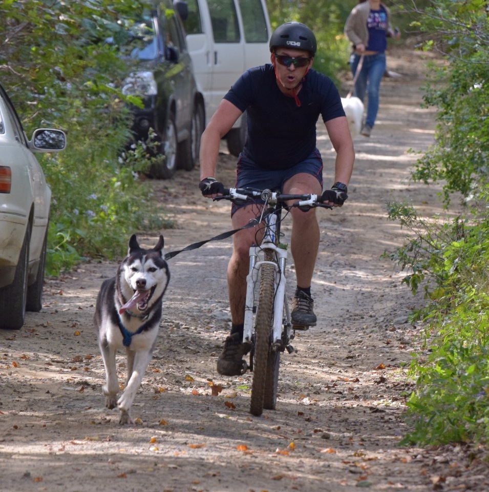 Riding sports of Primorye part 1 - My, Riding sports, Dog, Primorsky Krai, Video, Longpost