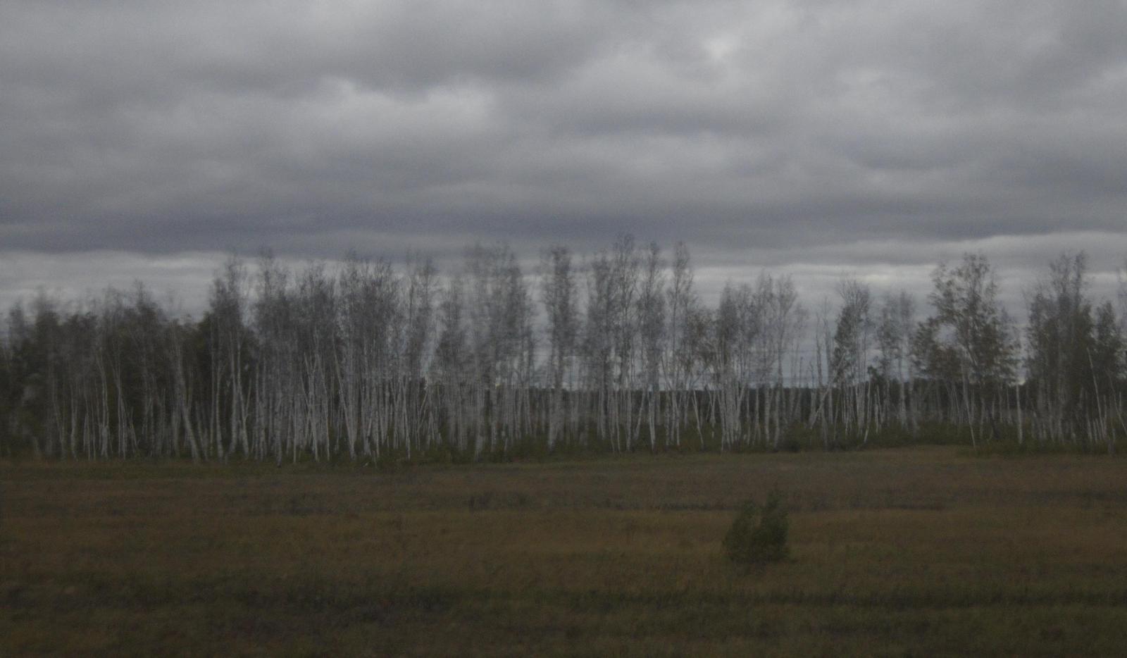 Traveling from Rostov-on-Don to Vladivostok by train. Day two and three - My, Travelers, A train, Tourism, Longpost, Travels, Rostov-on-Don, Vladivostok