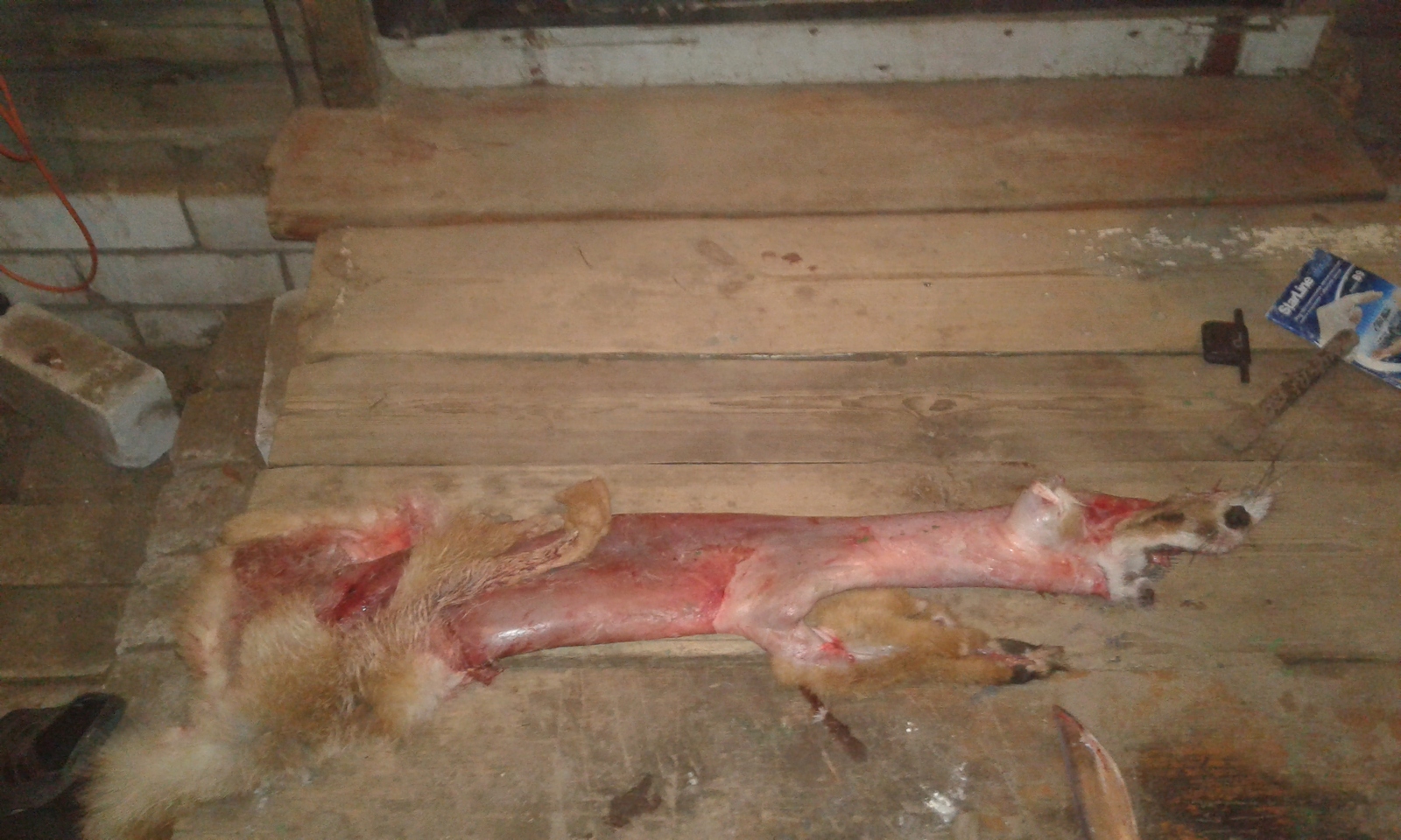 Fox, skin, carcass. An inevitable need. - My, , Hunting, Fox, Skin, Longpost, Inevitability