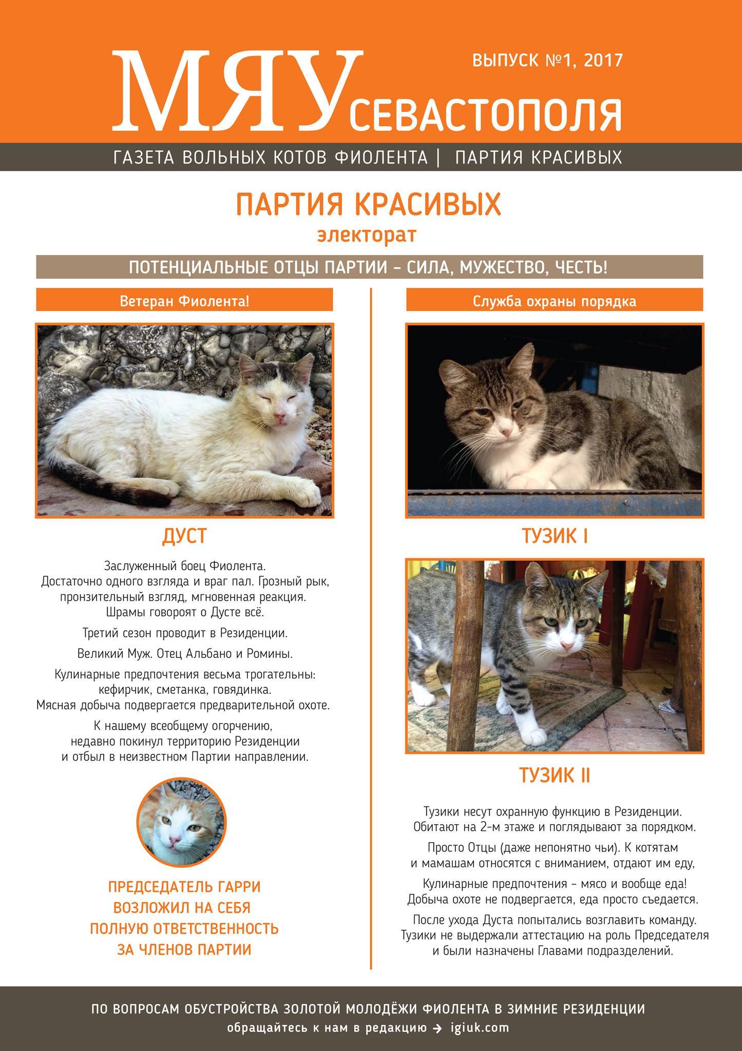 Meow of Sevastopol - the first issue of the newspaper about our Fiolent cats - cat, Crimea, cat house, , In good hands, Longpost, Pet house