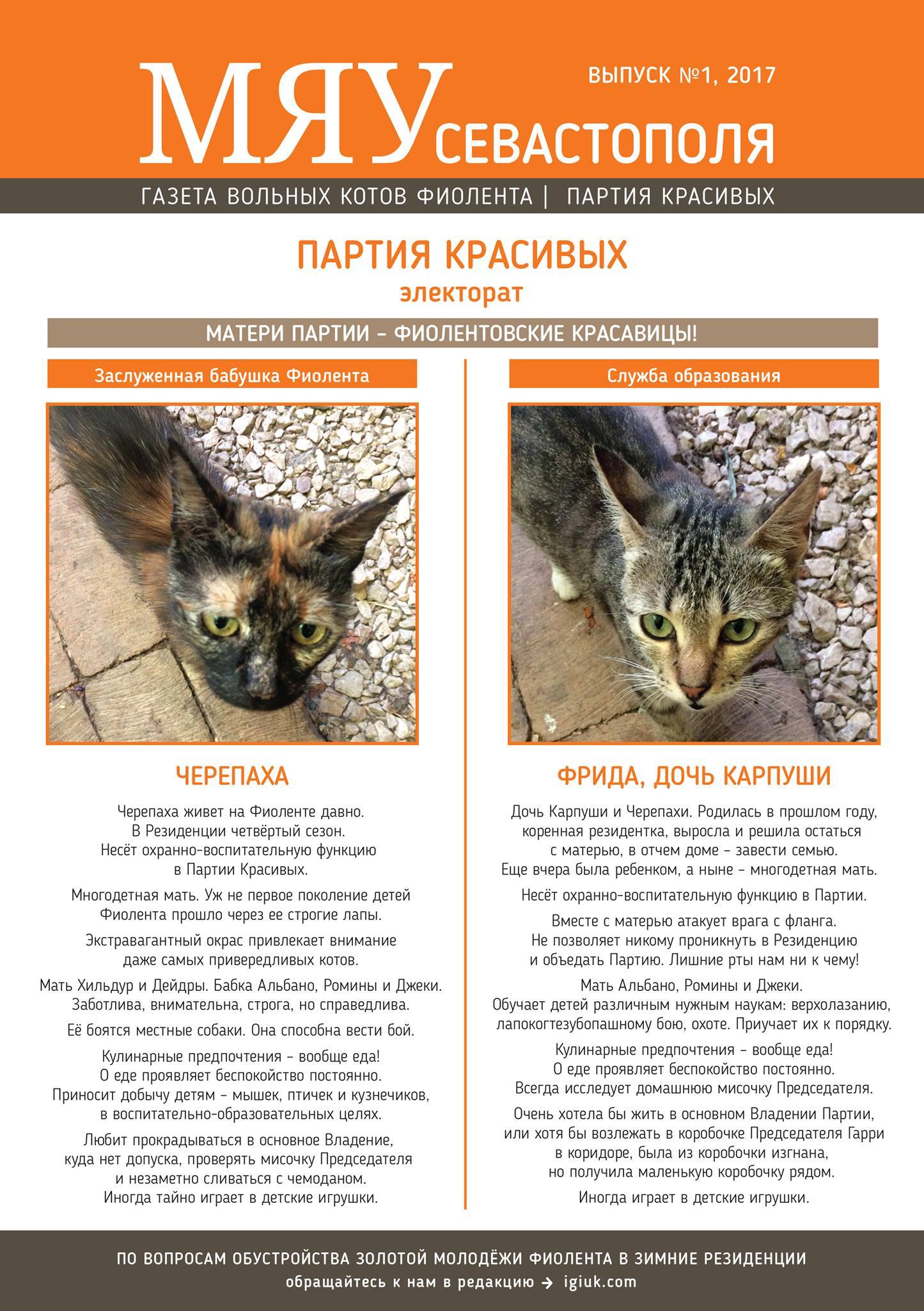 Meow of Sevastopol - the first issue of the newspaper about our Fiolent cats - cat, Crimea, cat house, , In good hands, Longpost, Pet house