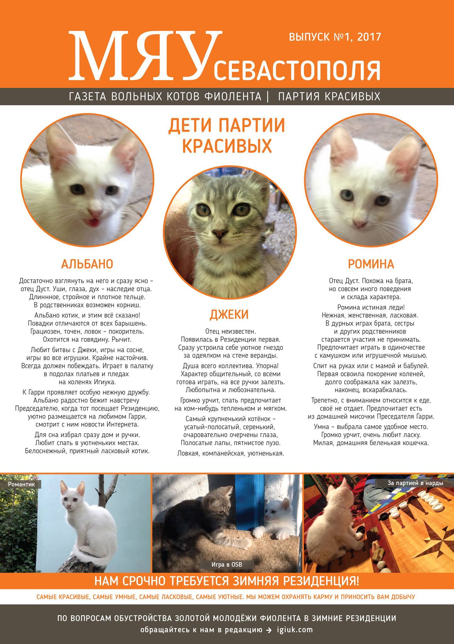 Meow of Sevastopol - the first issue of the newspaper about our Fiolent cats - cat, Crimea, cat house, , In good hands, Longpost, Pet house