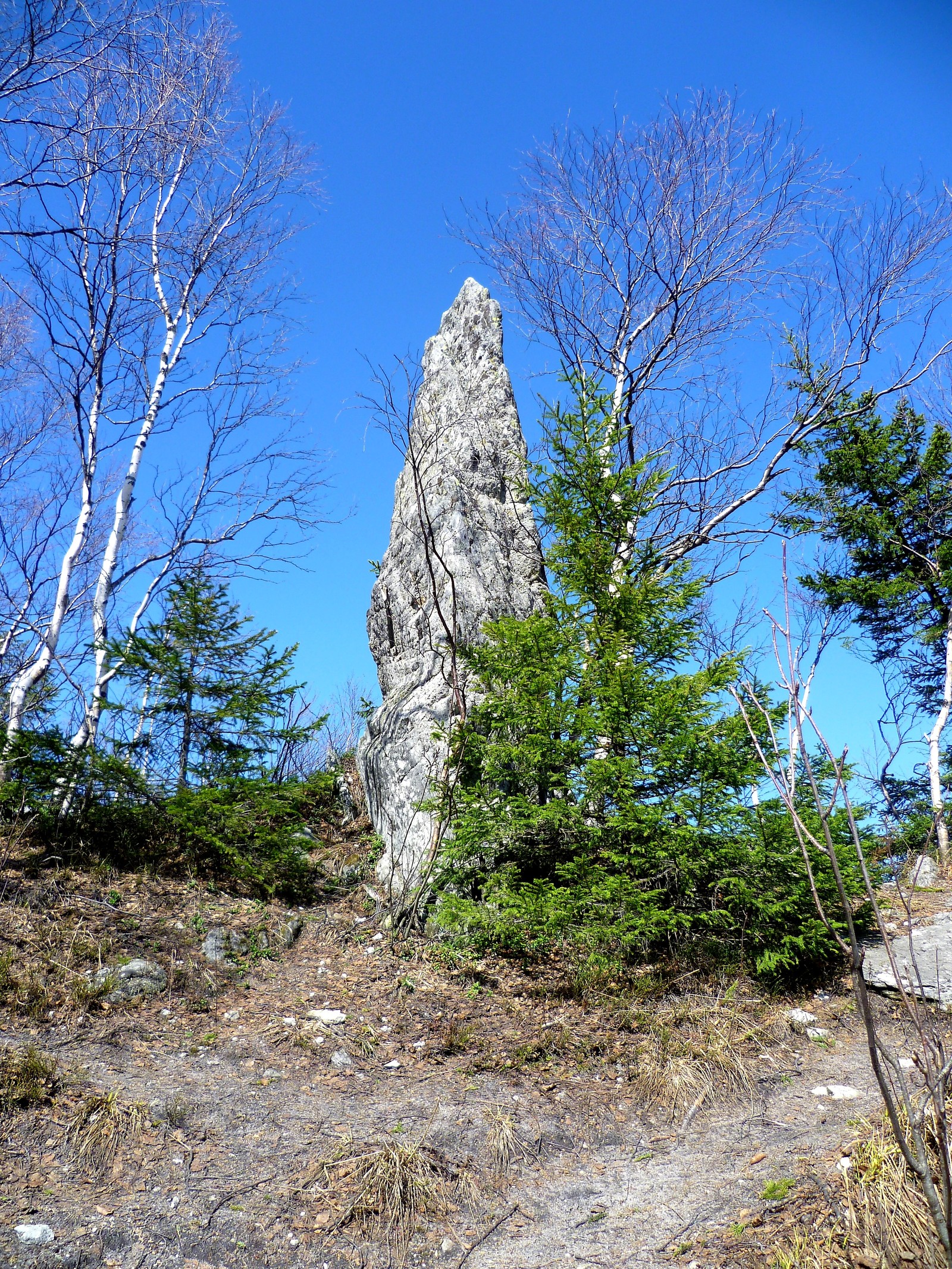 Taganay Two-headed hill top Feathers - My, Taganay, Ural mountains, Ural, Chelyabinsk region, The photo, Longpost