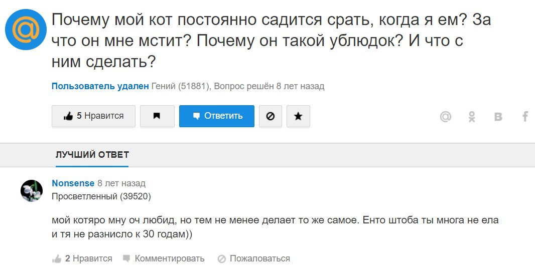 Решил загуглить вопрос... - Моё, Кот, Вопрос, Почему?, Скриншот