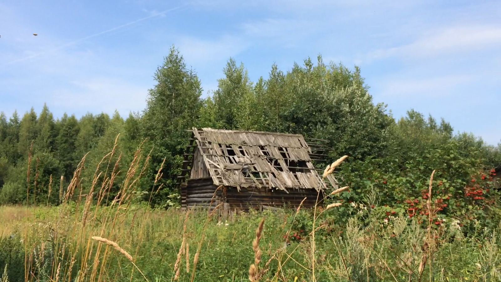 My trip to the village, for history =) - My, Village, Story, , Real life story, , Сельское хозяйство, Abandoned, Longpost