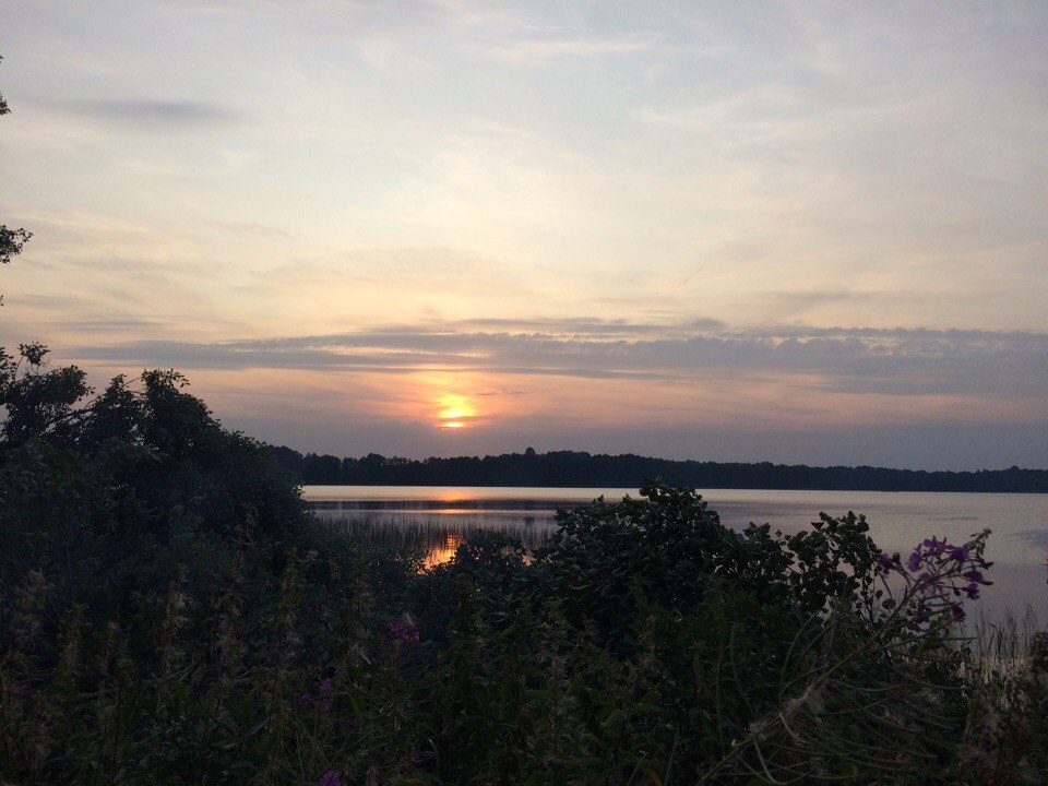 My trip to the village, for history =) - My, Village, Story, , Real life story, , Сельское хозяйство, Abandoned, Longpost