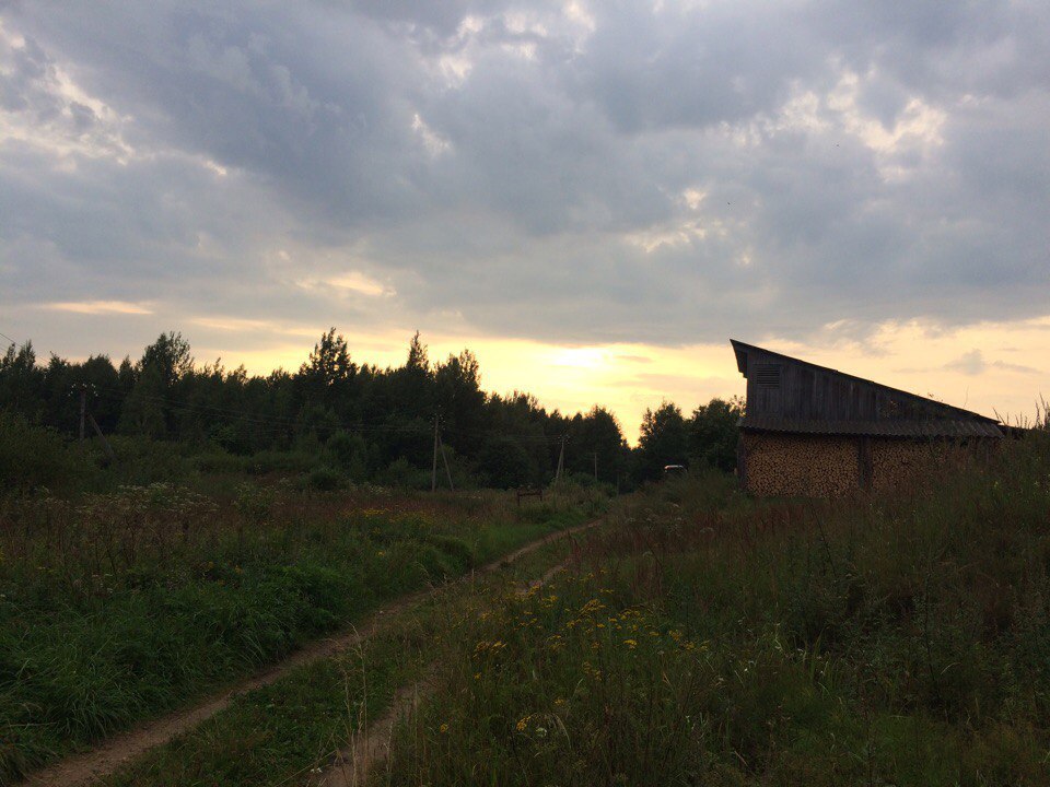 My trip to the village, for history =) - My, Village, Story, , Real life story, , Сельское хозяйство, Abandoned, Longpost