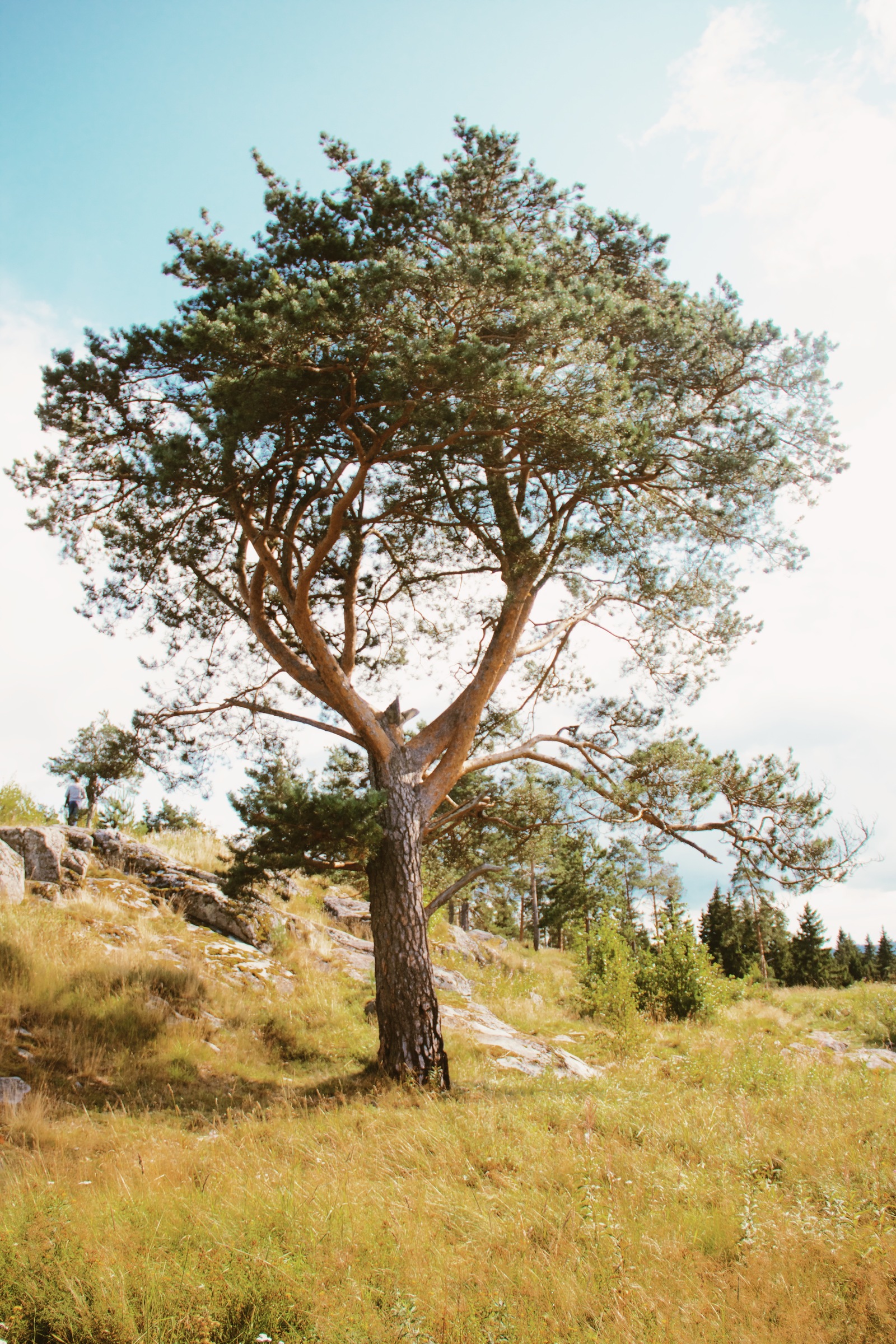 Karelia. - My, Карелия, Tourism, The photo, Road trip, Video, Travels, Nature, Russia, Longpost