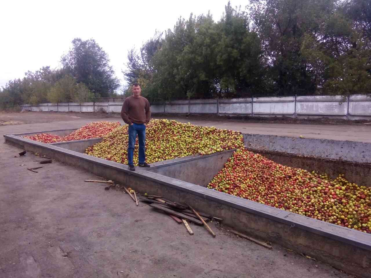 Шок, жесть, слабонервным не смотреть! Вот на самом деле из чего делается сок из магазина! - Моё, Сок, Яблоки, Самара, Сызрань